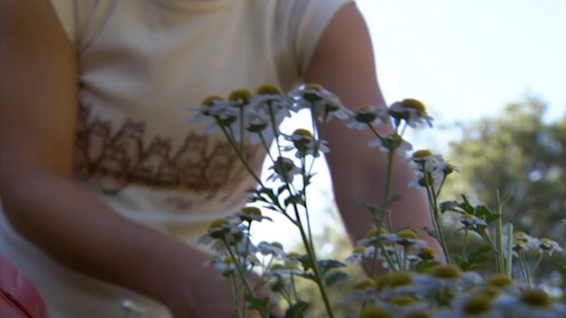 Sustainable Herbs Project Videos: Issues in the Herb Industry