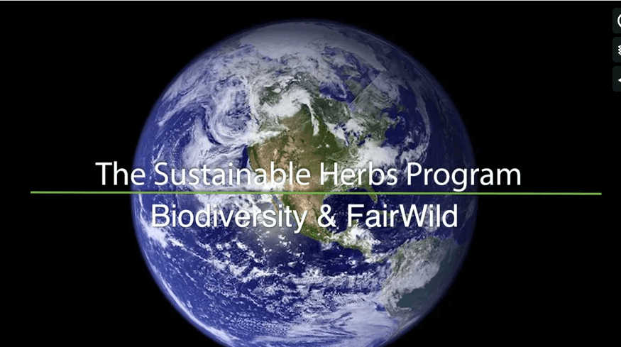 FairWild and Conservation