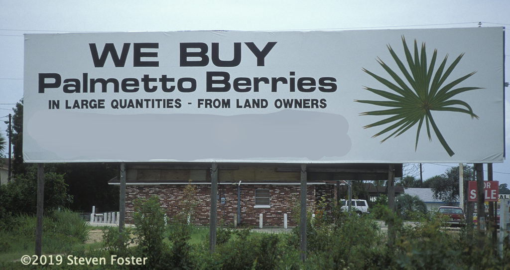 Signs are seen in the Immokalee, Florida area advertising berry buying. Photo by Steven Foster.
