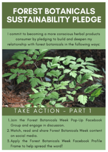 Forest Botanicals Week Sustainability Pledge