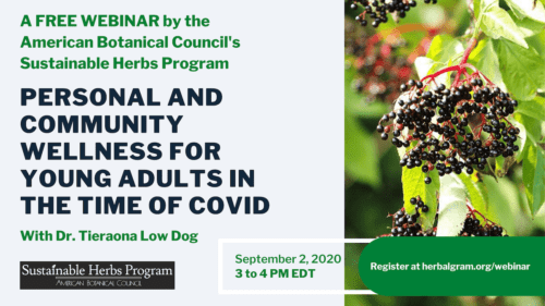 Wellness in the Time of COVID: Dr. Tieraona Low Dog