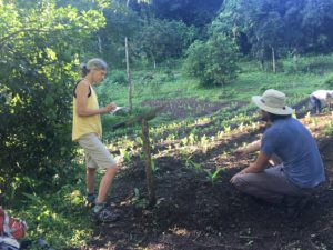 Regenerative Farming in Costa Rica