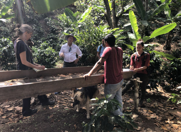 Discussing grading of turmeric in the fields with Nolvin, a Nicaraguan coffee and turmeric farmer. 
