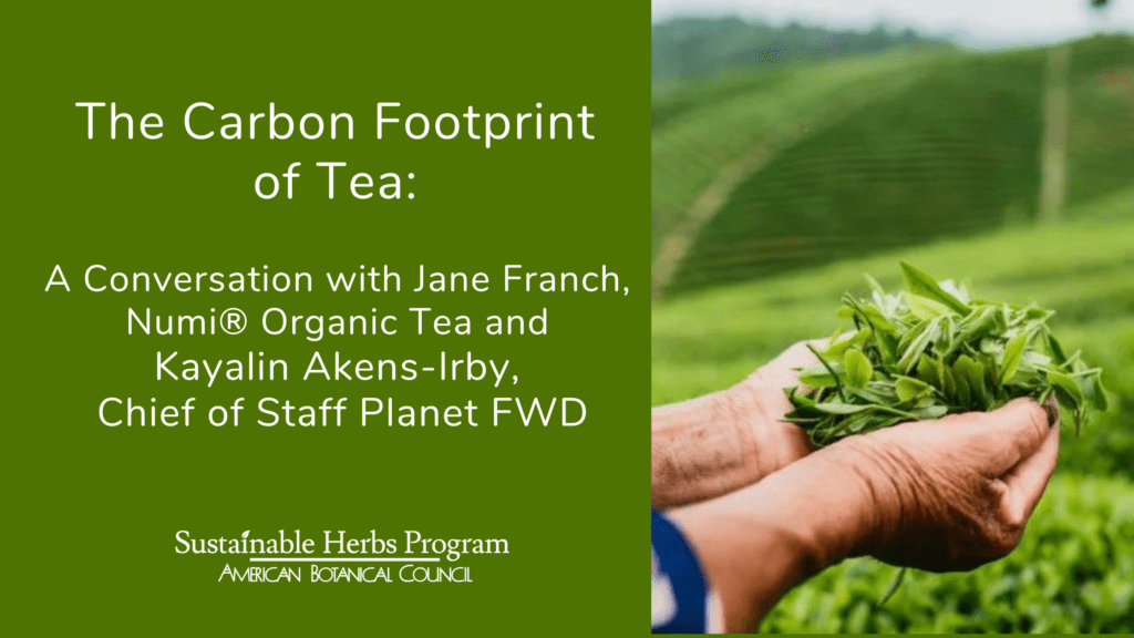 Carbon Footprint of Tea