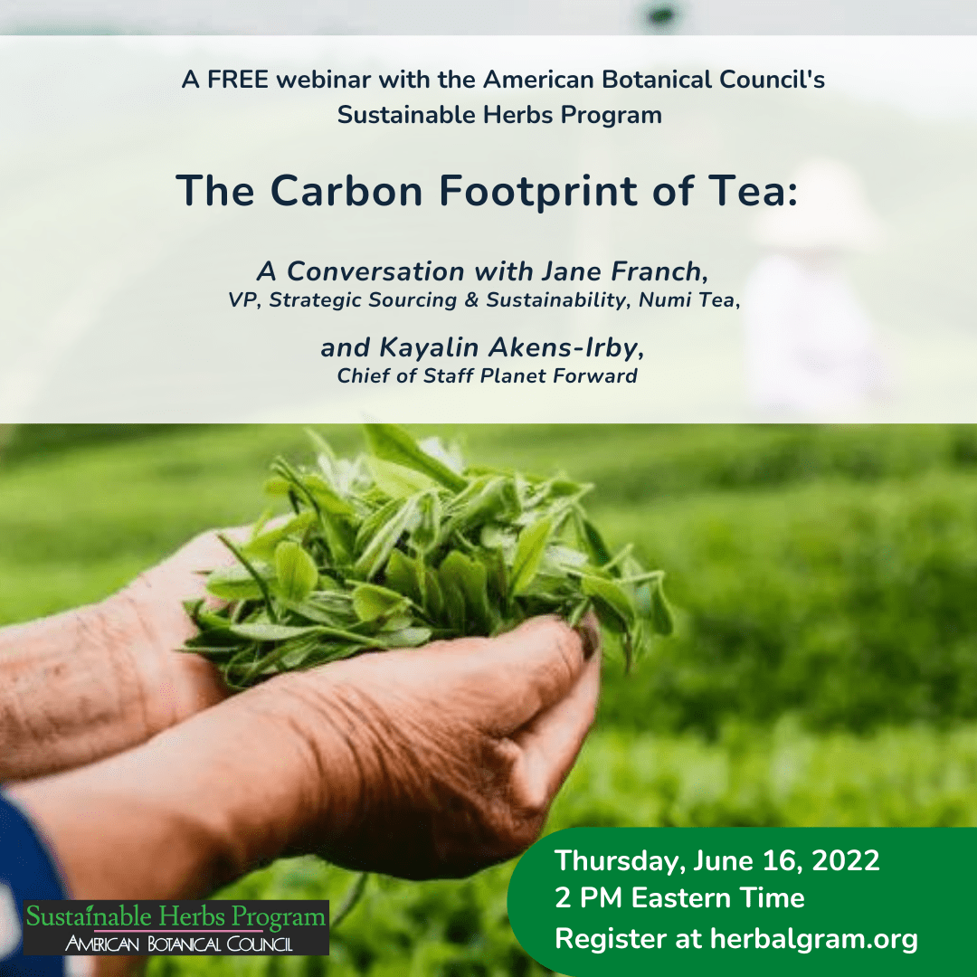 The Carbon Footprint of Tea