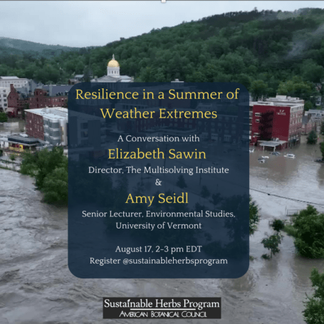 Resilience in a Summer of Weather Extremes
